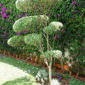 Sculpture d'arbres style arbres pour jardin japonais