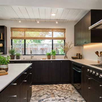 Mid-Century Modern Eichler  - Palo Alto