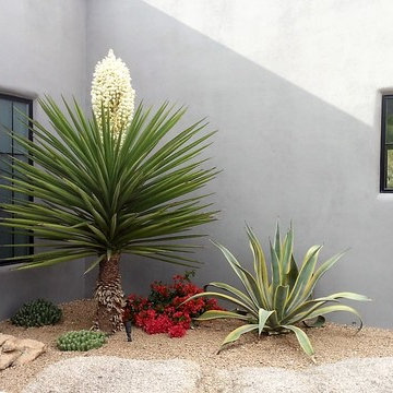 Desert Landscapes
