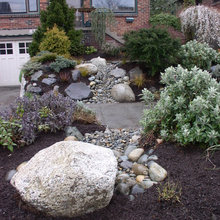 front yard
