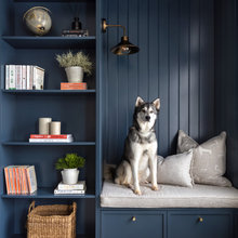How Do Our Pets Influence Our Home Renovations?