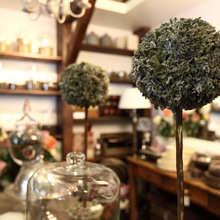 Decor