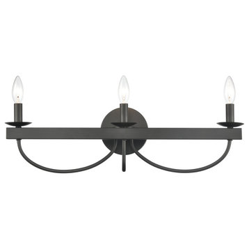 Williamson 24" Wide 3-Light Vanity Light, Black