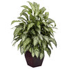 Silver Queen With Decorative Planter Silk Plant