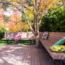 Backyard And Decks