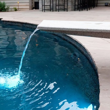 Freeform Pool in Downers Grove, IL