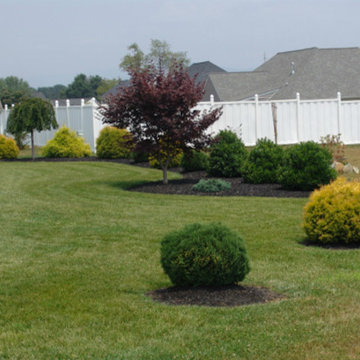 Our Work