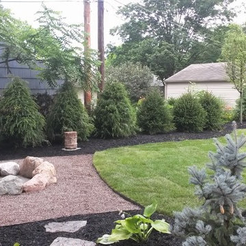Backyard Landscape