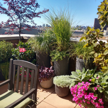 Lush Eclectic Rooftop Garden Harlem