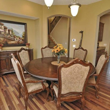 Edina Custom Home