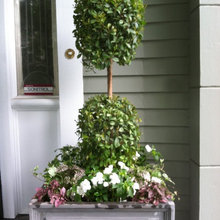 outdoor pots