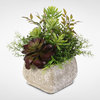 Artificial Succulent Variety in Stone Pot