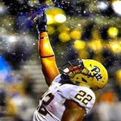 Darrin Halls foto
