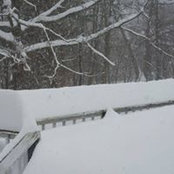 Candy Timm's photo