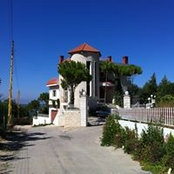 Nisreen Dehen's photo