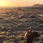 Mark Ayres's photo