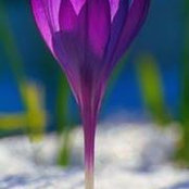 Eugenia Hernández's photo