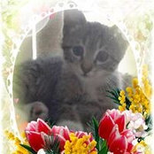 Foto von Ann Cole