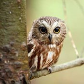 Graeme Seaton's photo