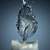 Alan Smith's photo