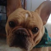 Patricia Polin's photo