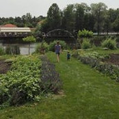 Roxana Lemnaru's photo
