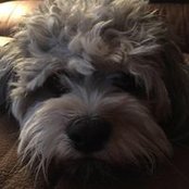 Jill Trelstad's photo