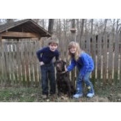 Harvey Carpenters foto