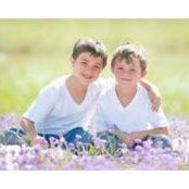Toni Cinis billede