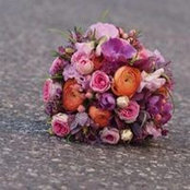 Anke Kaiser's photo