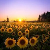 Deborah Belknap's photo