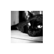 Дмитрий Кукин's photo