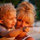 rhonda_frisch