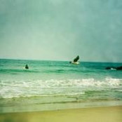 Phil Lew's photo