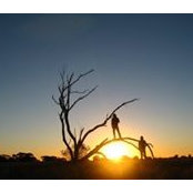 Craig Holness's photo