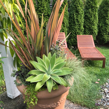 Mediterranean Garden in Tsawwassen