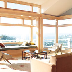 Hunter Douglas Shades - Window Blinds