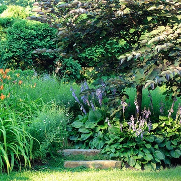 Neighbor's Pool and Rain Garden