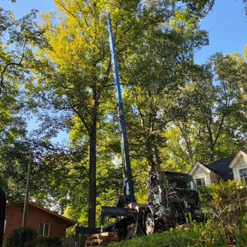 Large Tree Removals - Hard to Reach & Limited Access Potomac Maryland