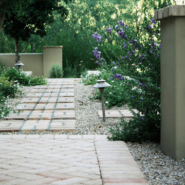 Silverleaf
