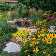 Backyard landscaping