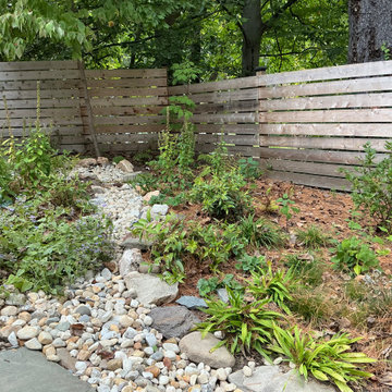 Conservation and rain gardens landscape