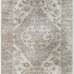 Rugs America - Leopold WhiteWash Oriental Transitional Area Rug, 8'x10' - Rectangle