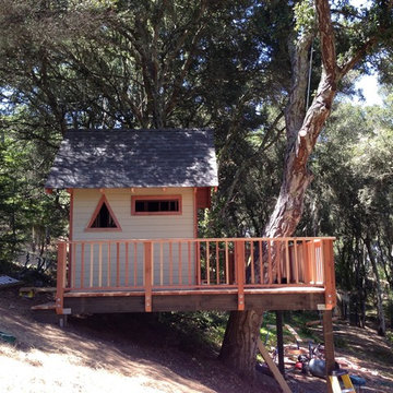Tree Fort