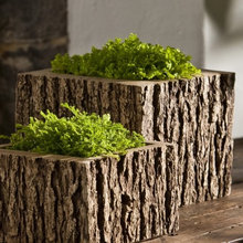 Garden Ideas