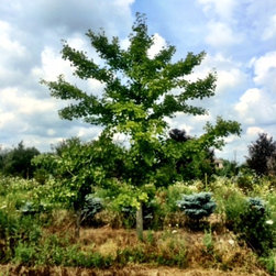 Farms - Gardening And Lawn Care