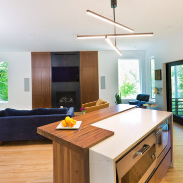 Excelsior Modern Remodel