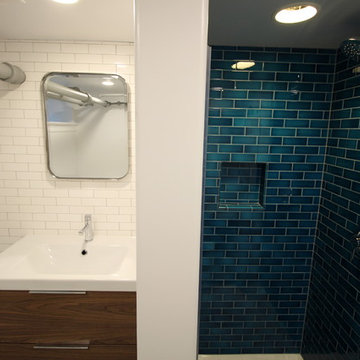 Bryn Mawr Basement Renovation