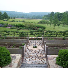 vegetable garden