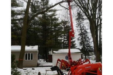 Lake Front Tree Removal with Lift
